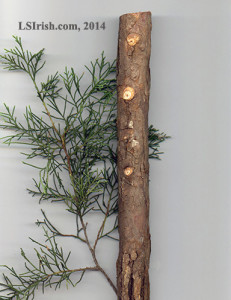 Wood Carving Walking Sticks, Tree Species