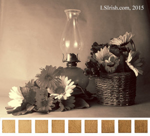 creating a sepia value tone scale from a photograph for wood burning