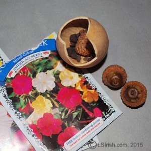 Free Bee House Gourd Project