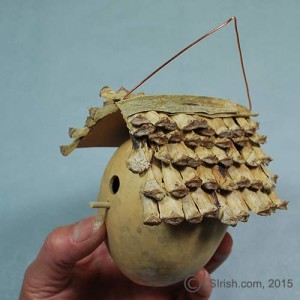 Gourd Bird House Free Craft Project