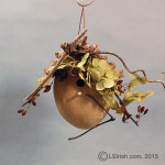 Craft Gourd Art Bird House Project