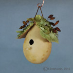 Craft Gourd Art Bird House Project