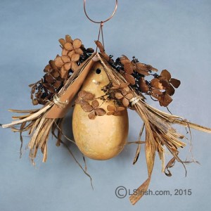 Bird House Gourds Free Craft Project