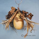 Free Craft Gourd Art Bird House Project